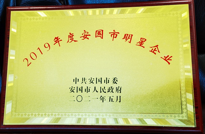 2019年度安國市明星企業